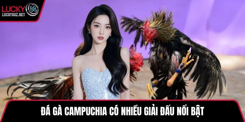 Đá gà campuchia có nhiều giải đấu nổi bật