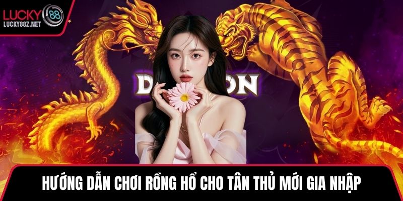 Hướng dẫn chơi rồng hổ cho tân thủ mới gia nhập