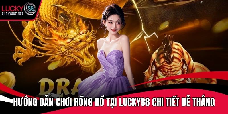 Hướng dẫn chơi rồng hổ